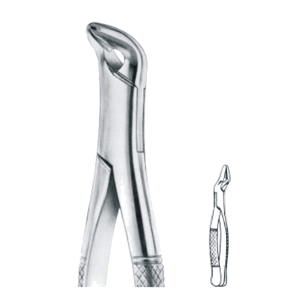 Lower Anteriors & Roots Extracting Forceps 1 Lower Anteriors & Roots Extracting Forceps