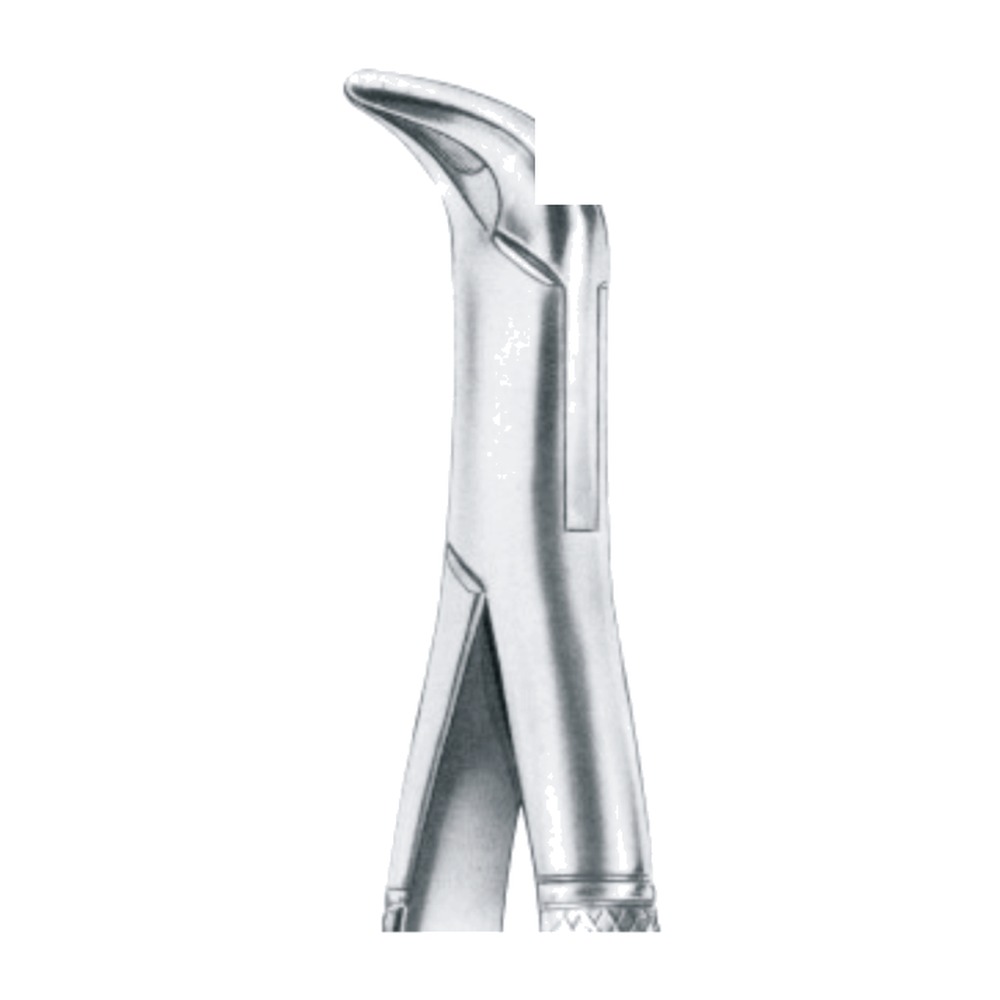 & Lower Anteriors & Roots Extracting Forceps 1 & Lower Anteriors & Roots Extracting Forceps