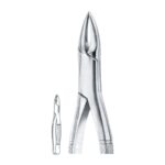 Gold Plated Upper Molars, Left EX 45 53LG