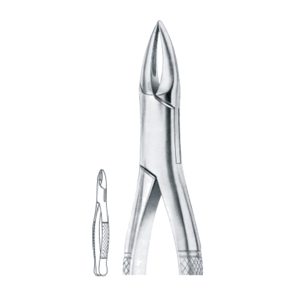Gold Plated Upper Molars, Left 1 Gold Plated Upper Molars, Left