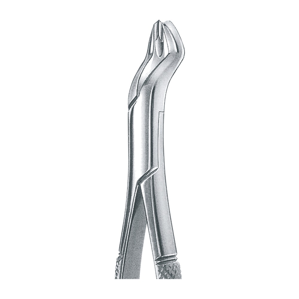 R Gold Plated Upper Molars, Right 1 R Gold Plated Upper Molars, Right