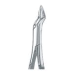 Gold Plated Upper Incisors, Roots & Fragments EX 45 65