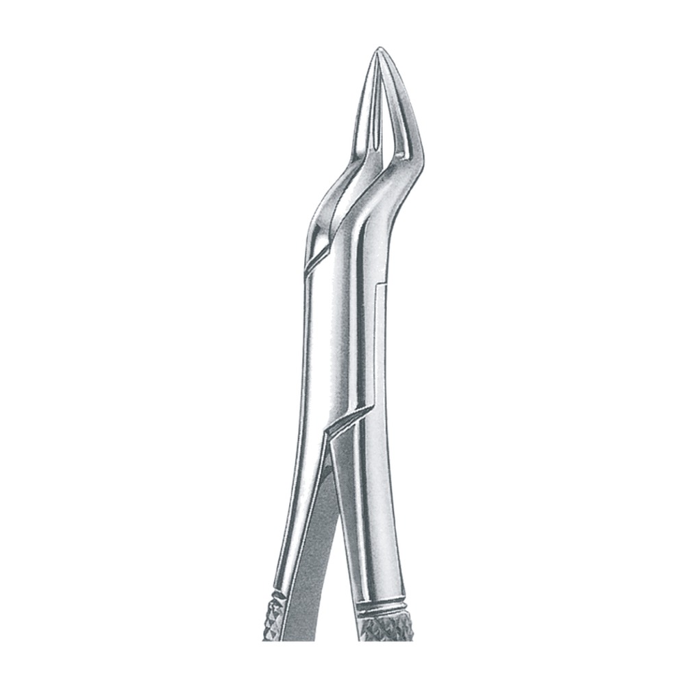 Gold Plated Upper Incisors, Roots & Fragments 1 Gold Plated Upper Incisors, Roots & Fragments