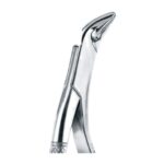 Lower Canines, Premolars And Molars EX 45 85