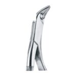 A Lower Canines, Premolars And Molars EX 45 85A
