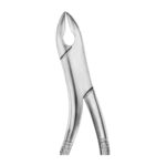A Kells Upper Incisors, Canines, Premolars EX 45 99A
