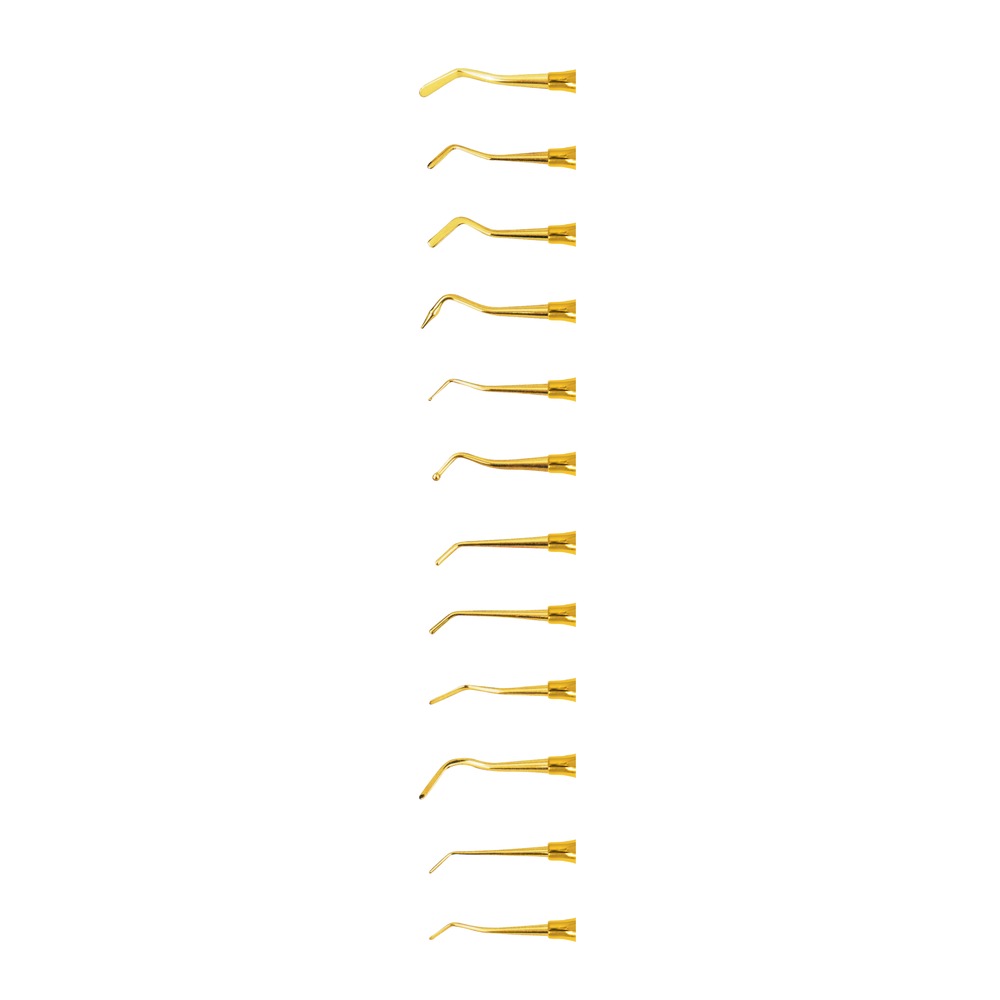 Boghosian Endodontic Instrument 1 Boghosian Endodontic Instrument