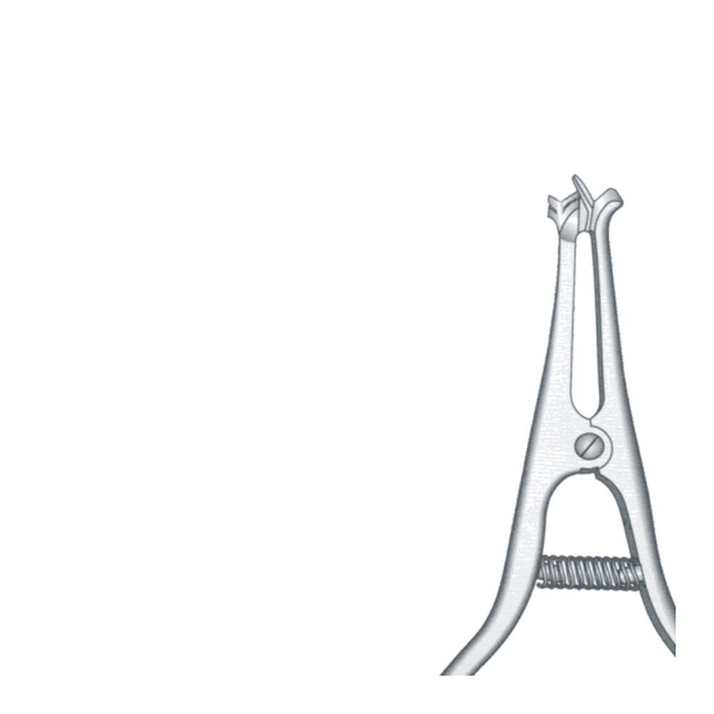 for Incisors With Convex Beaks 1 for Incisors With Convex Beaks
