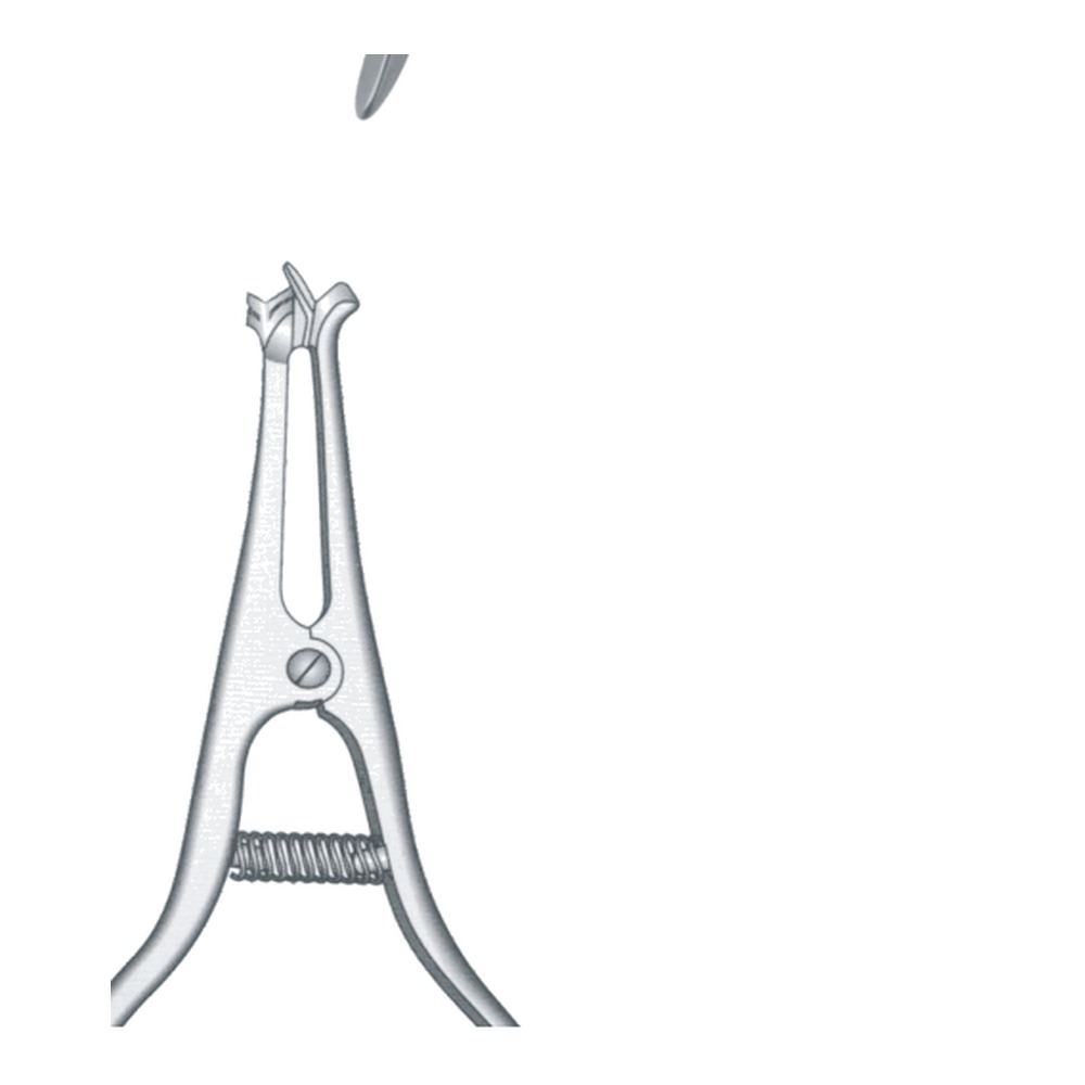 for Bicuspids & Molars With Convex Beaks 1 for Bicuspids & Molars With Convex Beaks