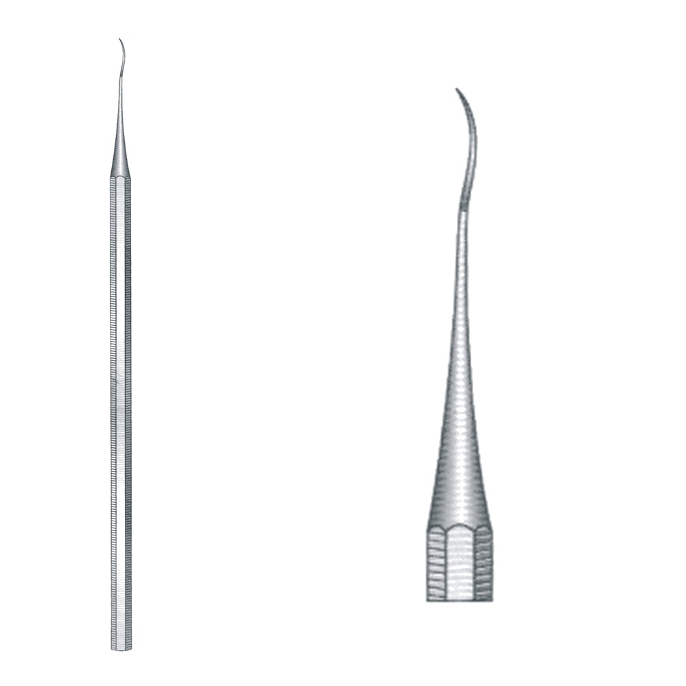 Hygienist Scaler 1 Hygienist Scaler