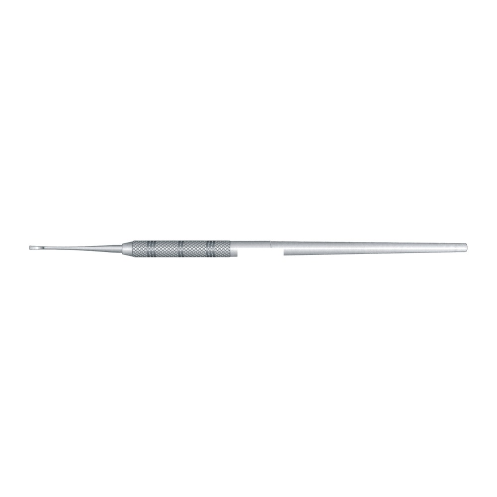 Zerfing-Chisel Columbia University 1 Zerfing-Chisel Columbia University