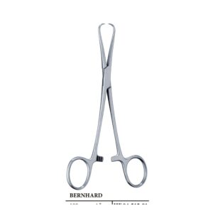 Bernhard Towel Forceps (HF 04-515-01)