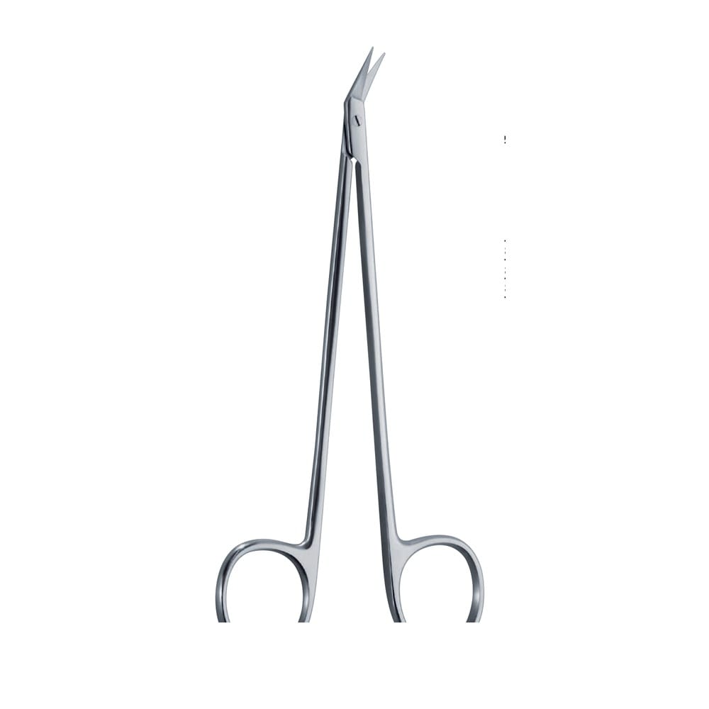 Diethrich-Hegemann Cardiovascular Scissors — 25° Standard 2 Diethrich-Hegemann Cardiovascular Scissors — 25° Standard (SC 02-325-00)