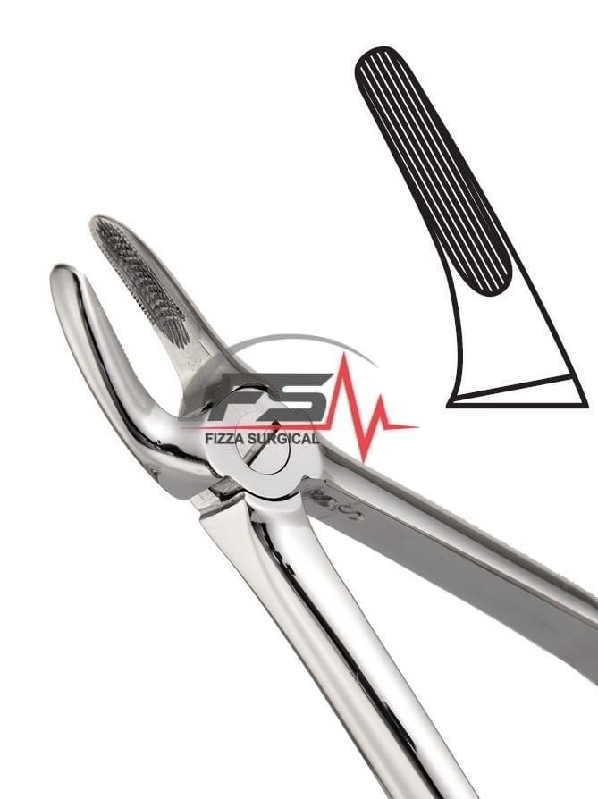 Extracting Forceps English Pattern Upper Root 1 Extracting Forceps English Pattern Upper Root (EX 1050-30)