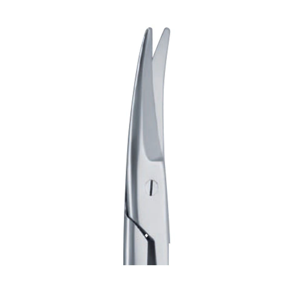 Mayo-Noble Dissecting Scissors — Curved 2 Mayo-Noble Dissecting Scissors — Curved (SC 02-81-00)