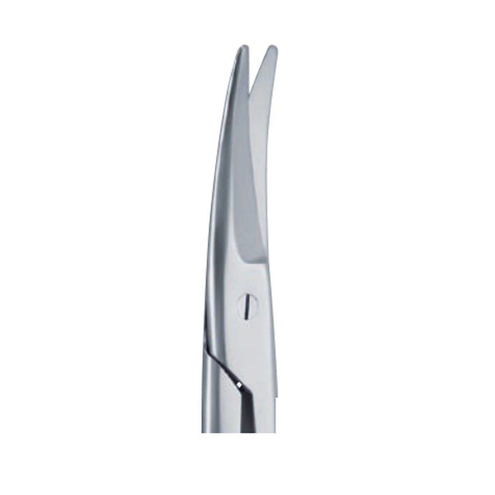 Mayo-Noble Dissecting Scissors — Curved 1 Mayo-Noble Dissecting Scissors — Curved (SC 02-81-01)